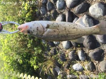 �����Х�