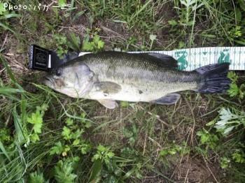 �֥�å��Х�