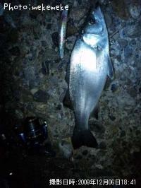 �ҥ饹����