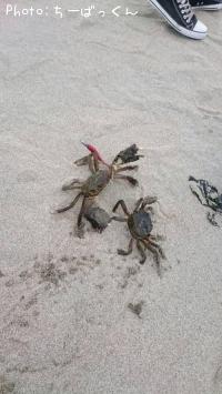 ���ˡߥ���