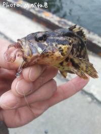 �����Υ���Х�