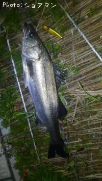 �����Х�