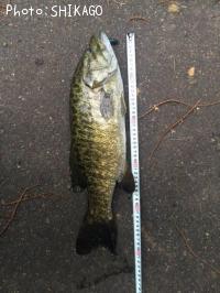 ¥Ö¥é¥Ã¥¯¥Ð¥¹