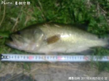 �֥�å��Х�