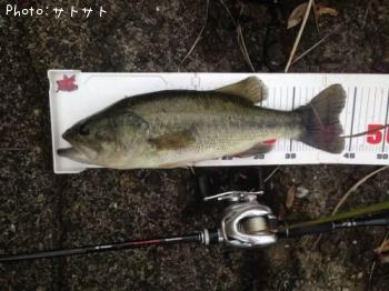 �֥�å��Х�