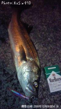 �����Х�