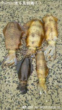 ¥¢¥ª¥ê¥¤¥«