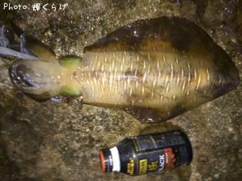 �����ꥤ��