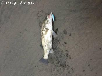 �����Х�