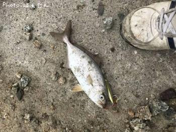 ���첿�ʡ����ء�����