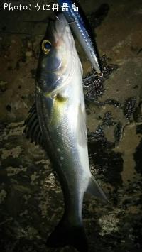 �����Х�