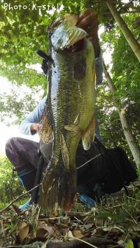 �֥�å��Х�