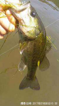 ¥Ö¥é¥Ã¥¯¥Ð¥¹