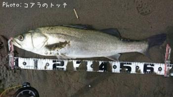 �����Х�