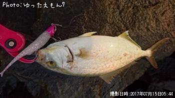 ����ѥ��λ�