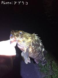 �����Υ���Х�