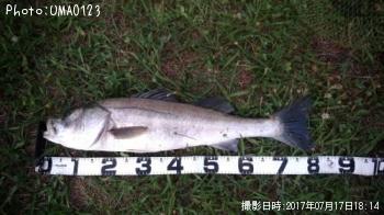 �����Х�