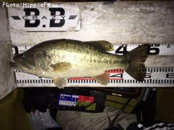 ¥Ö¥é¥Ã¥¯¥Ð¥¹