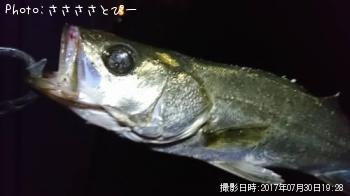 �����Х�