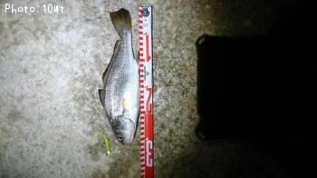 ¥¤¥·¥â¥Ã¥Á¡¼