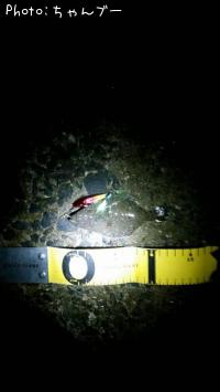 �ҥ��ʤ�����