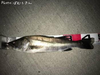 �����Х�