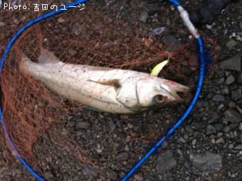 �����Х�