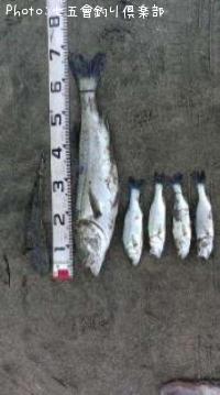 �����Х�