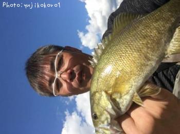 ¥Ö¥é¥Ã¥¯¥Ð¥¹