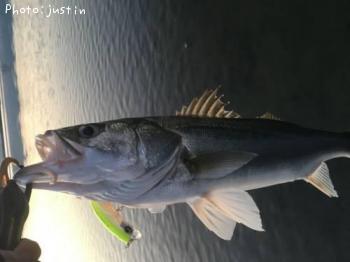 �����Х�