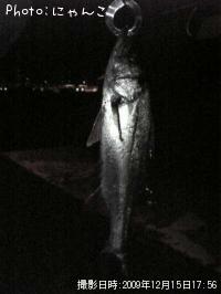 �����Х�