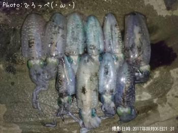 ¥¢¥ª¥ê¥¤¥«