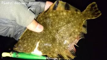 ¥«¥ï¥«¥ì¥¤