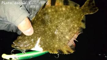 ¥«¥ï¥«¥ì¥¤