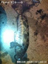 �����ʥ�