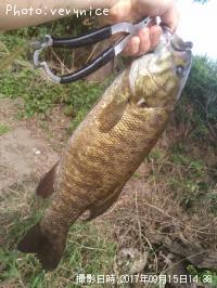 ¥¹¥â¡¼¥ë¥Þ¥¦¥¹¥Ð¥¹