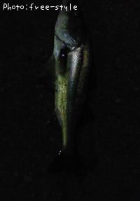 �ӣ��£���