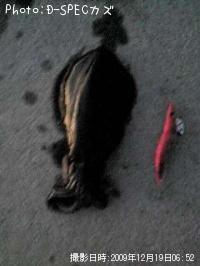 �����ꥤ��