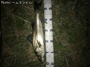 �����Х�