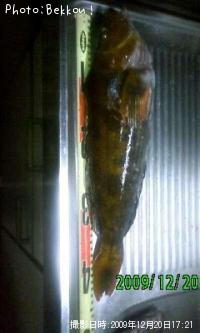 �����ʥ�