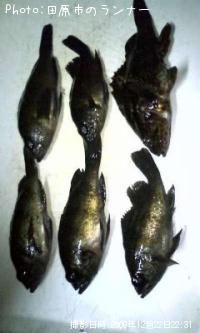 ��Х�ȥ����Υ���Х�