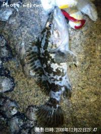 �����Υ���Х�