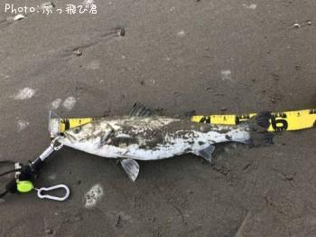 �����Х�