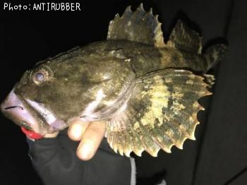 ¥±¥à¥·¥«¥¸¥«