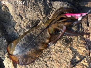 �����ꥤ��