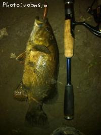 ¥Ö¥é¥Ã¥¯¥Ð¥¹