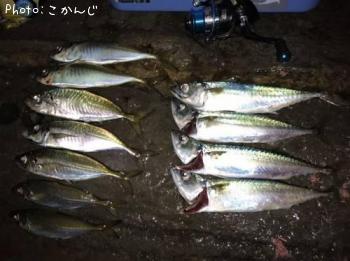 ¥¢¥¸¡¢¥µ¥Ð