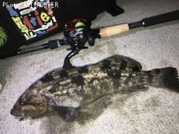 �����ʥ�