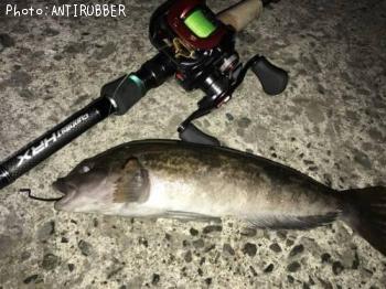 �����ʥ�