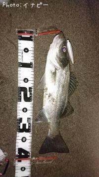 �ҥ饹����